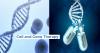 Photo for Cell and Gene Therapy Market Trends Estimates High Demand by 2026