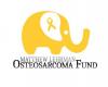 Photo for Matthew Lehrman Osteosarcoma Fund