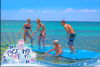 Photo for Water Trampoline