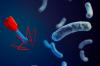 Photo for Bacteriophages Therapy Market: Deep Analysis by Production Overview and Insights 2018