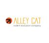 Photo for Alley Cat