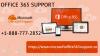 Photo for Take Office 365 Support to get rid of Office 365 cannot log on issue