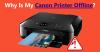 Photo for Why is my Canon Printer Offline?