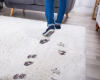 Photo for Carpet Cleaning Method: Hot Water Extraction