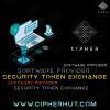 Photo for security token services providing company