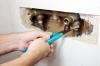 Photo for Fairfield County Plumbers