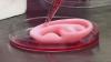 Photo for 3D Bioprinting Market Report From 2018 To 2025 Analysis By Top Company Profiles - Luxexcel Group BV, TeVido BioDevicesm, 3Dynamics Systems, Aspect Biosystems, BioBots and Cyfuse Biomedical