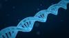 Photo for Epigenetics Market Size, Share, Growth, Trends and Industry Analysis Report, 2018 to 2025