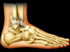 Photo for Global Total Ankle Replacement Market Manufacturers Sales Analysis Report 2019-2024
