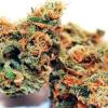Photo for Best Cannabis Delivery Services California