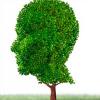 Photo for Affordable and Best Alzheimer Disease Treatment