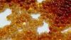 Photo for Global Chelate Resins Market Manufacturers Sales Analysis Report 2019-2024