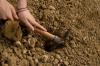 Photo for Soil Treatment Market Report | Industry Size and Leading Key Players - Syngenta AG, BASF SE, ADAMA Agricultural Solutions Ltd., Solvay S.A., Monsanto Company, American Vanguard Corporation
