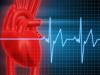 Photo for Cardiac Biomarkers Market To 2025, Size, Share Analysis by Key Players - Beckman Coulter, Becton, Dickinson And Co., Thermo Fisher Scientific, BioMerieux, Bio-Rad Laboratories