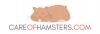 Photo for Care Of Hamsters