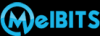 Photo for Melbit Services