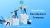 Photo for WordPress Development Company