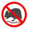 Photo for Pest Control Wellington Pros