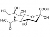 Photo for Sialic Acid Market 2019: Industry Growth, Trends and Research Report, To 2025