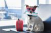 Photo for Coast Spas Reviews Tips to Traveling with Pets