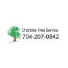 Photo for Treebien Tree Care