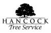 Photo for Hancock Tree Service