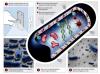 Photo for Nanosilver Market Report From 2018 To 2025 Analysis By Top Company Profiles - Ames Goldsmith Corp., Creative Technology Solutions Co. Ltd., Applied Nanotech, Inc.
