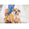 Photo for Highland Park Veterinary Clinic