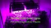 Photo for Plant grow lights