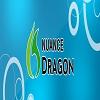 Photo for How to update Dragon Naturally Speaking