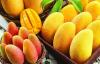 Photo for Processed Mango Products Market Size 2019 - 2025: Consumption, Regional Demand, Growth Dynamics