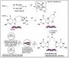 Photo for Amine Ligands
