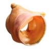 Photo for Global Tissue Heart Valve Materials Market Trend, Marketing Channels, Major Industry Participants, Strategies  and Forecast To 2024