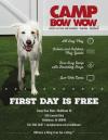 Photo for Camp Bow Wow