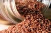 Photo for Worldwide Flax Seeds Market Size, Share, Growth and Forecast to 2023
