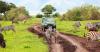 Photo for African Safari Tour Packages