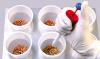 Photo for Seed Treatment Market Study By Type, Function, Crop Type & Top Key Players - Bayer Cropscience AG, Syngenta AG, BASF SE, Nufarm Limited, Platform Specialty Products Corporation