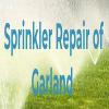 Photo for Sprinkler Repair of Garland