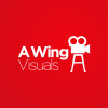 Photo for A Wing Visuals of Aurora