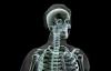 Photo for X-Ray Imaging Market Study By Portability, Application & Top Key Players - Koninklijke Philips N.V., Siemens AG, General Electric Company, Hitachi, Ltd., Toshiba Corporation