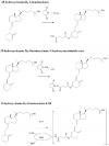 Photo for klh conjugation