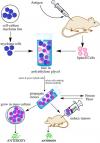 Photo for Monoclonal Antibodies Market Size, Share, Growth and Outlook Report