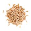Photo for Lysine Market 2019: Industry Growth, Trends and Research Report, To 2025