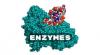 Photo for Asia Pacific Enzymes Market Trends, Forecast, Outlook, Growth, Analysis & Report 2019-2024