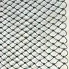 Photo for Fishing Nets Market 2019: Industry Growth, Trends and Research Report, To 2025