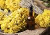 Photo for Global Immortelle Extract Market Manufacturers Sales Analysis Report 2019-2024