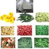 Photo for Quick-Frozen Food Market 2019: Industry Growth, Trends and Research Report, To 2025