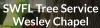 Photo for SWFL Tree Service Wesley Chapel