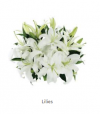 Photo for Buy flowers online in Noida