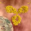 Photo for iodine girentuximab